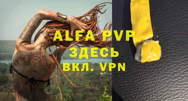 a pvp Дмитров