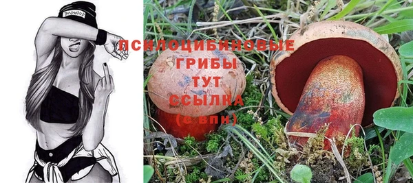 a pvp Дмитров