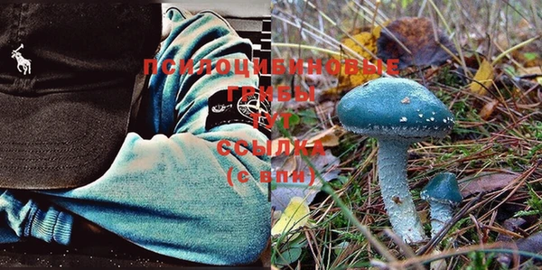 a pvp Дмитров