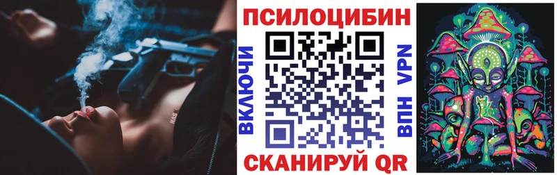 Купить где  Мурино  Галлюциногенные грибы Psilocybine cubensis 